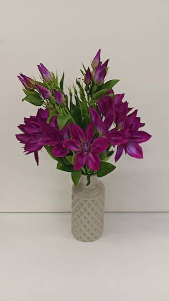 KLEMATIS PIK • ,;: #683D PURPLE