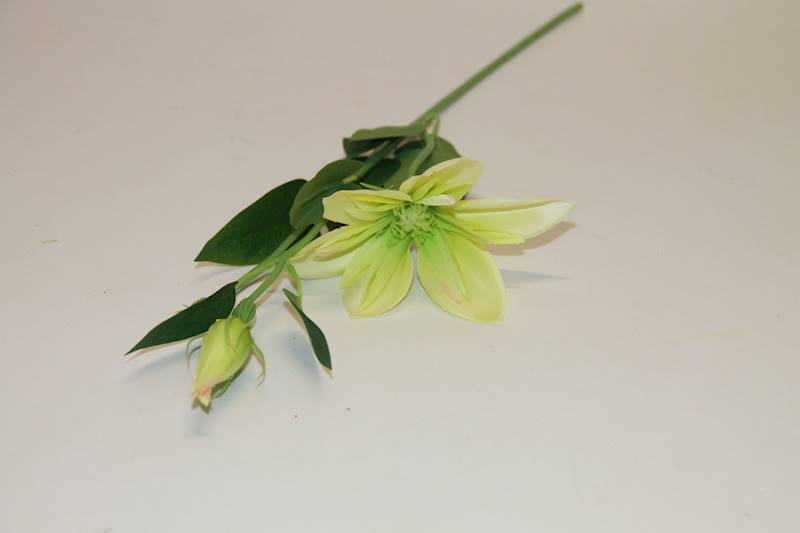 KLEMATIS PIK • ,;: #1935 LT. GREEN