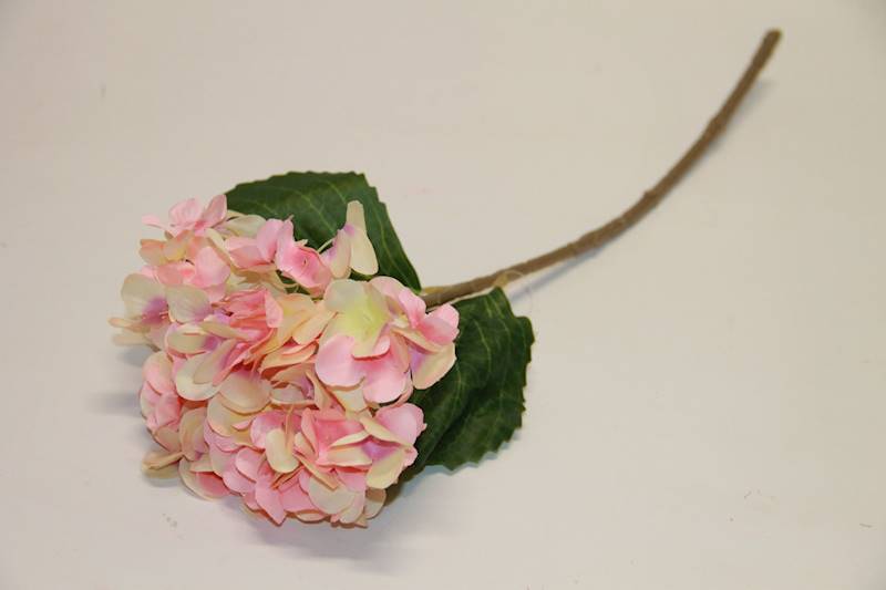 HORTENSJA POJ. LIGHT PINK