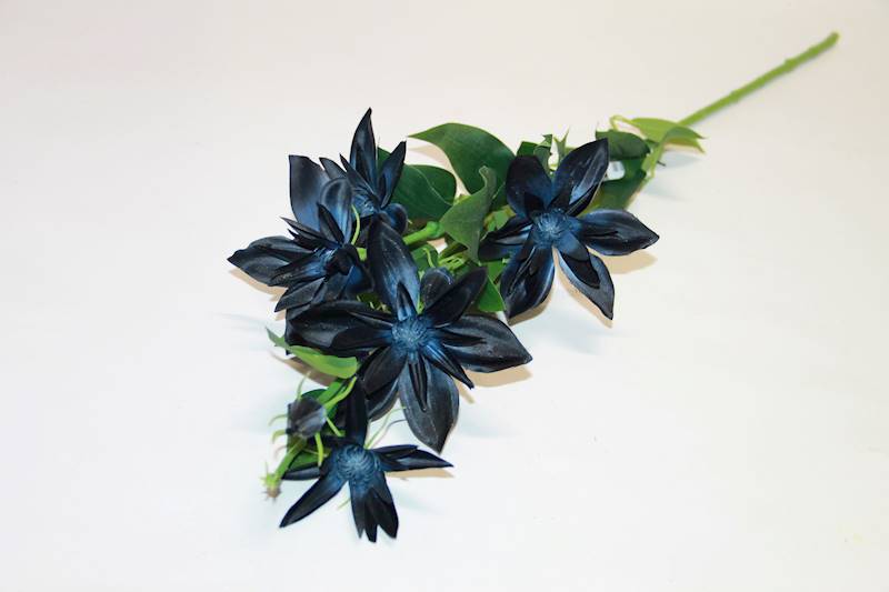 KLEMATIS GAŁĄZKA • ,;: #3202 NAVY BLUE