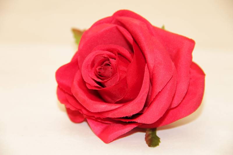 RÓŻA WYR. 385 • ,;: #1643 RED