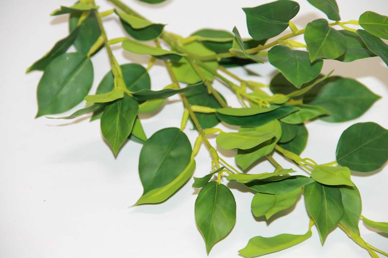 BENIAMIN GAŁĄZKA GUMOWANA GREEN