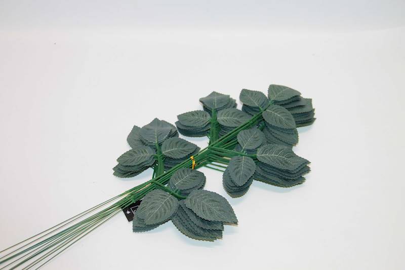 LIŚĆ RÓŻY • ': GREEN FLOK