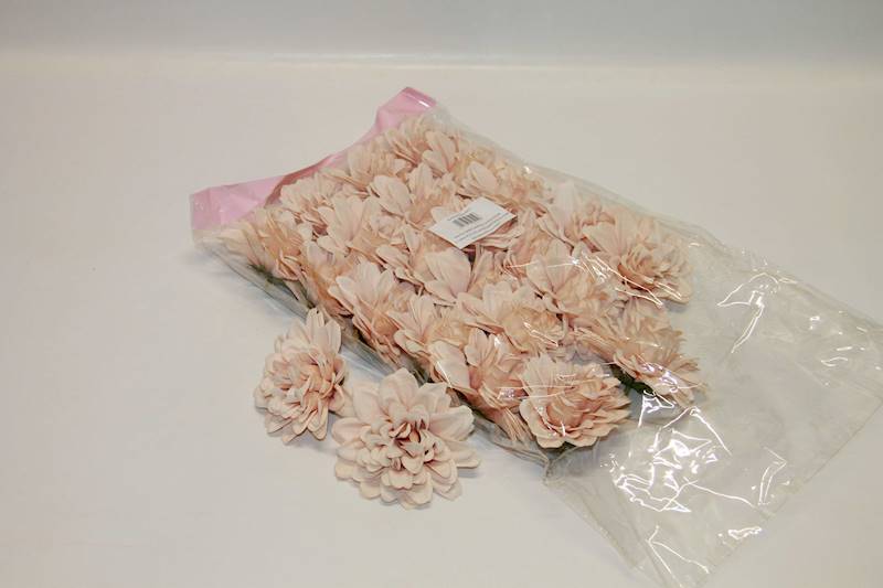 DALIA WYROBOWA  • ': #3 SALMON