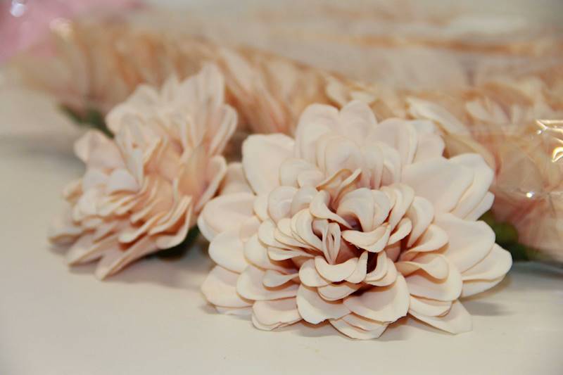DALIA WYROBOWA  • ': #3 SALMON