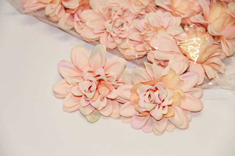 DALIA WYROBOWA  • ': PEACH /GREEN