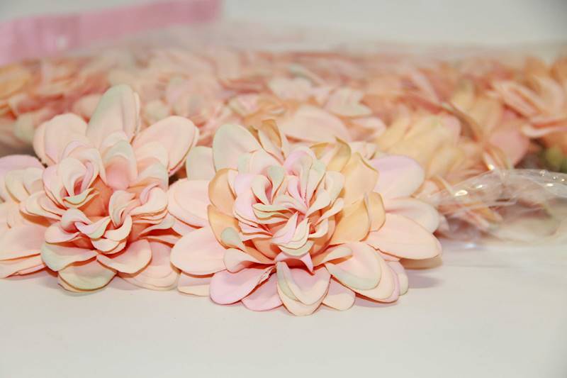 DALIA WYROBOWA  • ': PEACH /GREEN