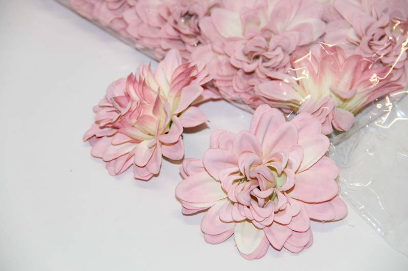 DALIA WYROBOWA  • ': PINK/CREAM