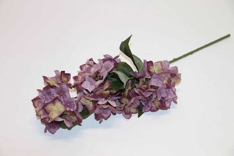 HORTENSJA NA ŁODYDZE X 5 KWIATY  • ': VIOLET/CREAM.