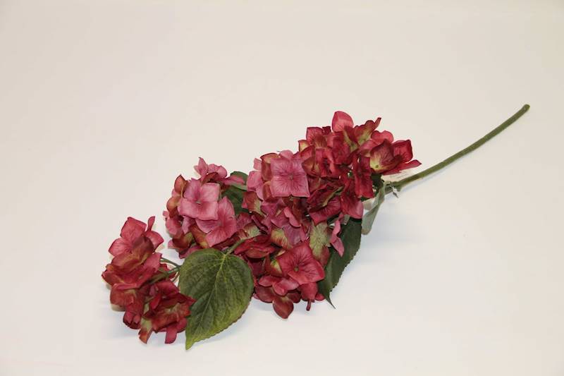 HORTENSJA NA ŁODYDZE X 5 KWIATY  • ': AUTUMN PINK