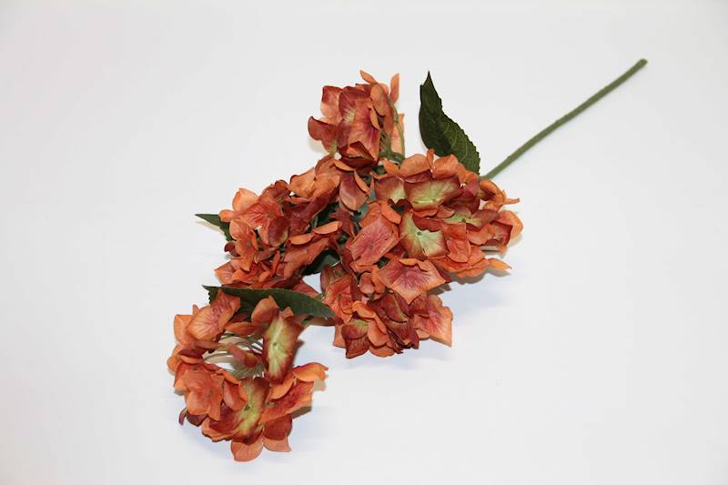HORTENSJA NA ŁODYDZE X 5 KWIATY  • ': AUTUMN ORANGE