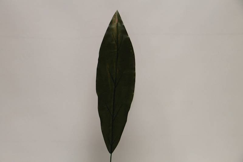 LIŚĆ DRACENA 56 CM