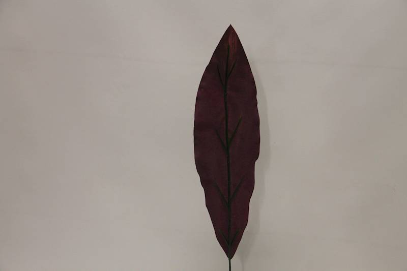 LIŚĆ DRACENA 56 CM