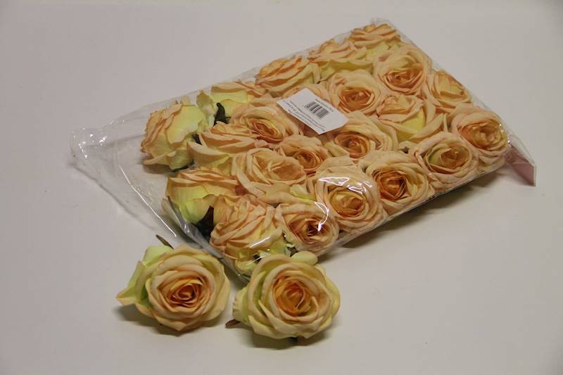 RÓŻA WYROBOWA • ': PEACH/YELLOW