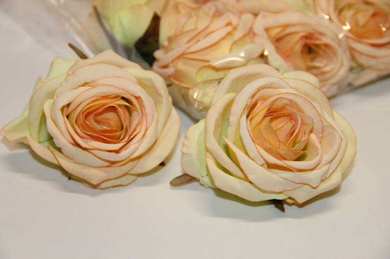 RÓŻA WYROBOWA • ': PEACH/YELLOW
