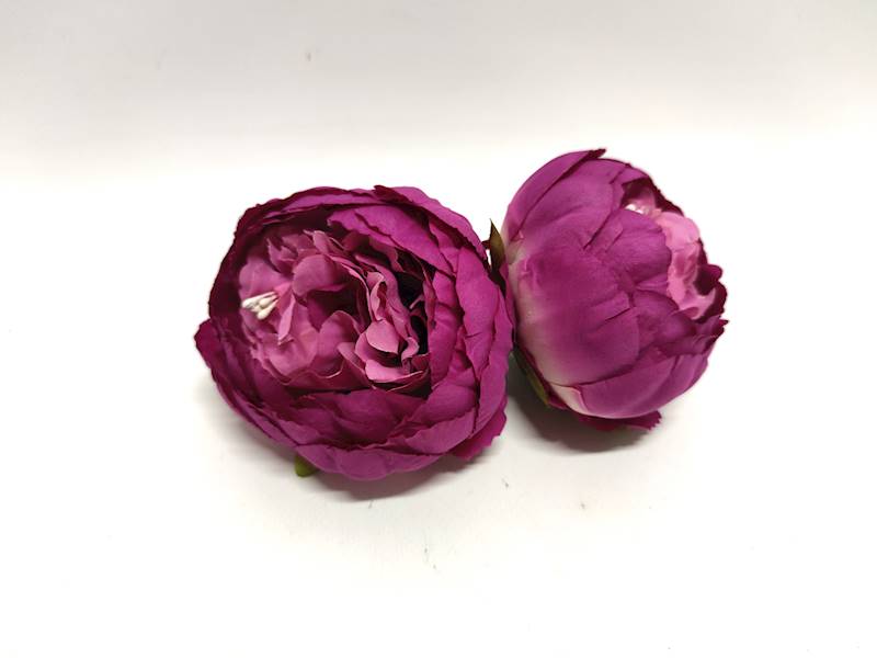 PIWONIA WYR. G.PURPLE