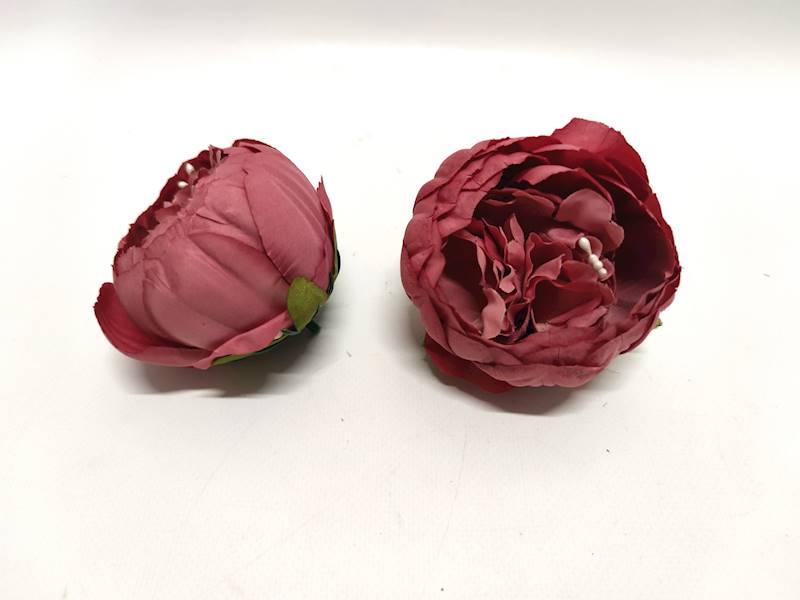 PIWONIA WYR. G.CHERRY
