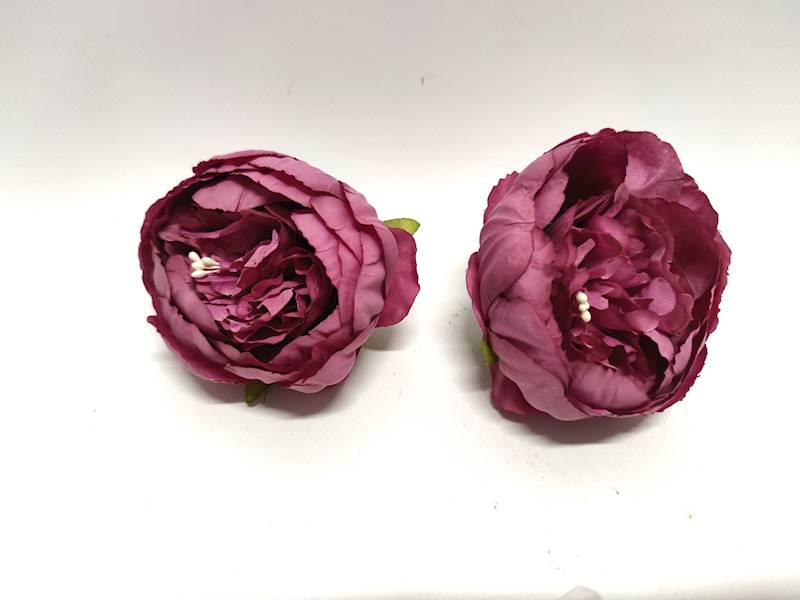 PIWONIA WYR. G. PLUM