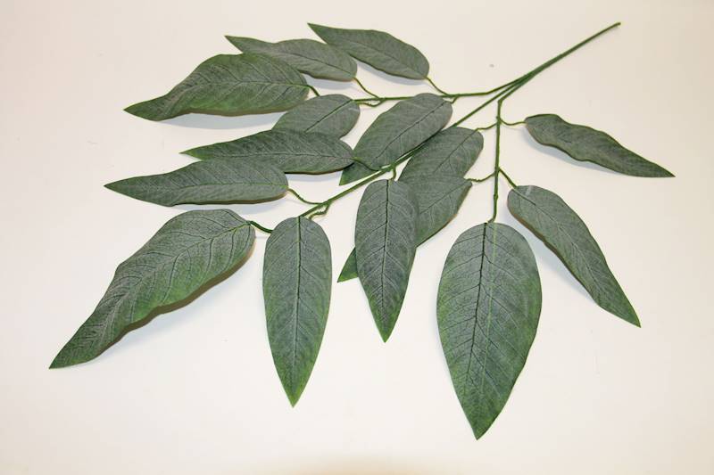 LIŚĆ MANGO X3 • ': 1FR