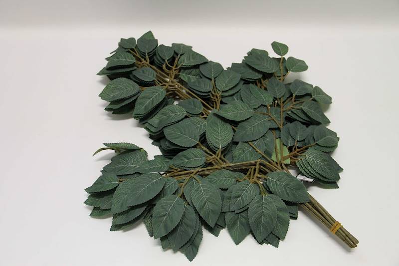 LIŚĆ RÓŻY X 3 GREEN FLOK