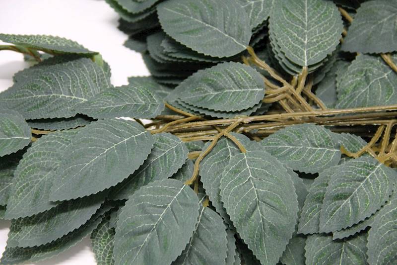 LIŚĆ RÓŻY X 3 DARK GREEN 