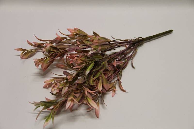 RUSKUS X 7 PINK/GREEN