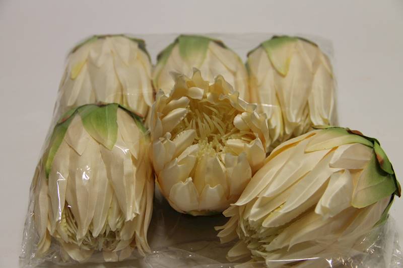 KARCZOCH • ': CREAM.
