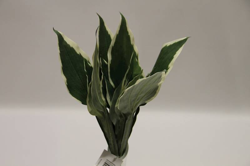 HOSTA BUKIET LIŚCI 44 CM