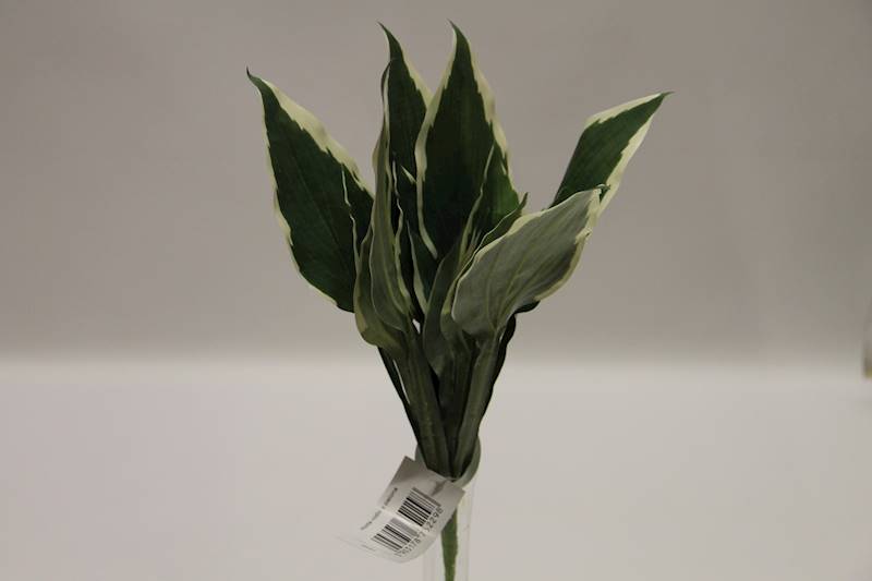 HOSTA BUKIET LIŚCI 44 CM