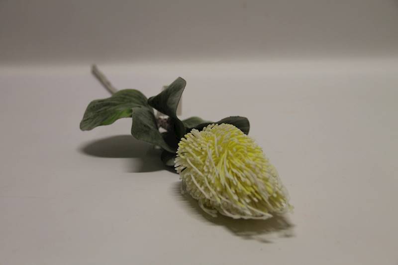 PROTEA GAŁĄZKA • ,;: #141 NEW CREAM