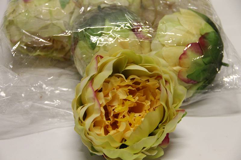 PIWONIA WYROBOWA • ': YELLOW/LT.YELLOW/PINK/GREEN