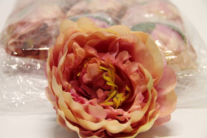 PIWONIA WYROBOWA • ': PINK/LT.PINK/VIOLET