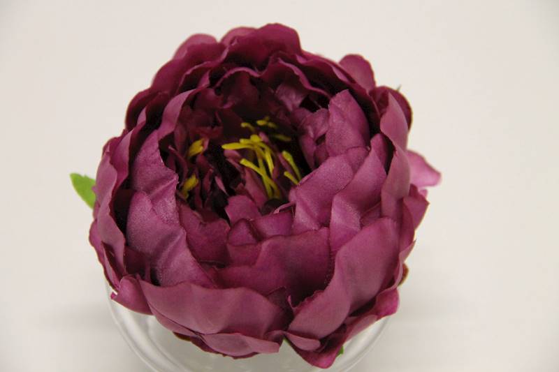 PIWONIA WYROBOWA • ': VIOLET.