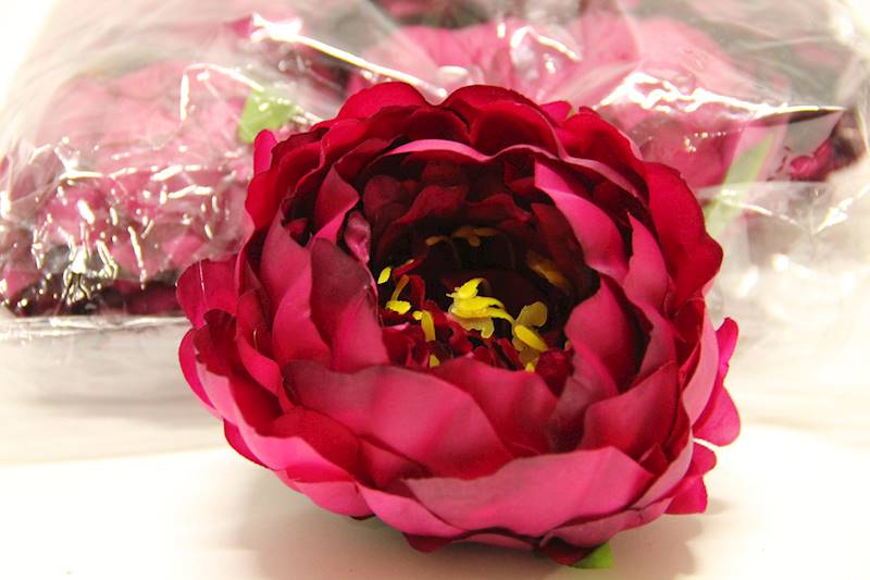 PIWONIA WYROBOWA • ': PURPLE