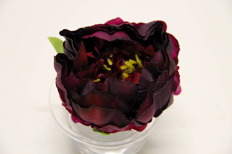 PIWONIA WYROBOWA • ': DK. PURPLE