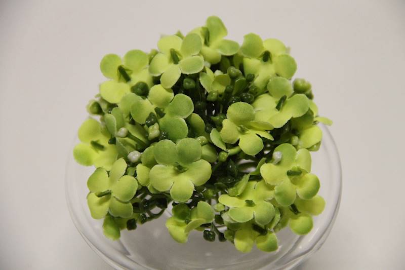 KALINA WYROBOWA • ,;: #1427 LT GREEN