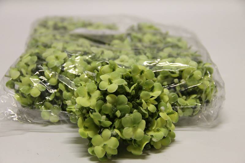 KALINA WYROBOWA • ,;: #1427 LT GREEN