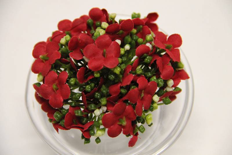 KALINA WYROBOWA • ,;: RED