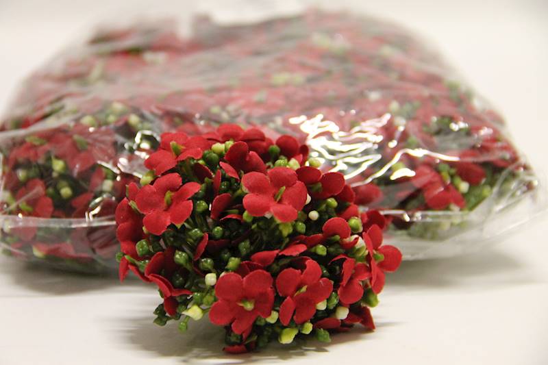 KALINA WYROBOWA • ,;: RED