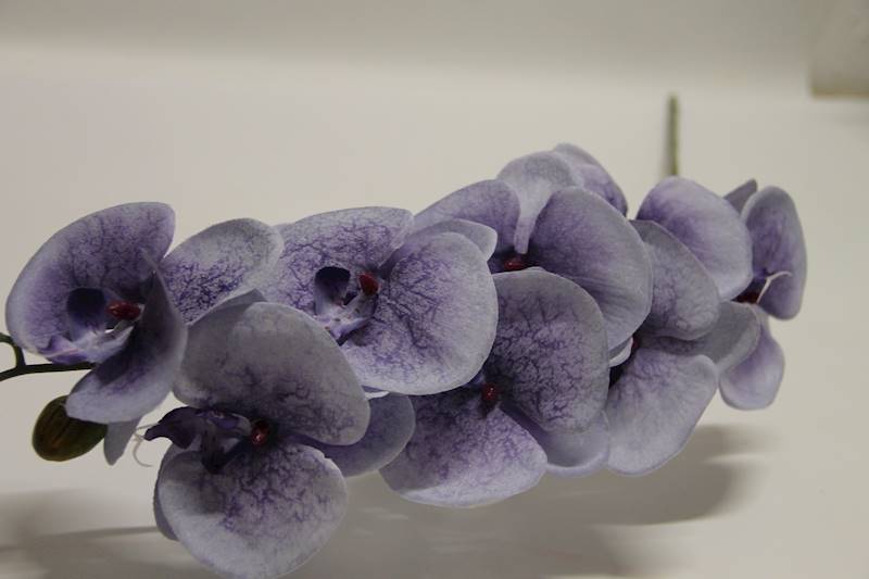 STORCZYK GAŁĄZKA SATYNOWA 102 CM  • ': LT.BLUE