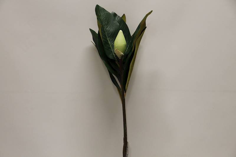 MAGNOLIA GAŁĄZKA 75 CM