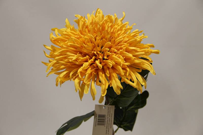 CHRYZANTEMA GAŁĄZKA • ,;: AUTUMN YELLOW