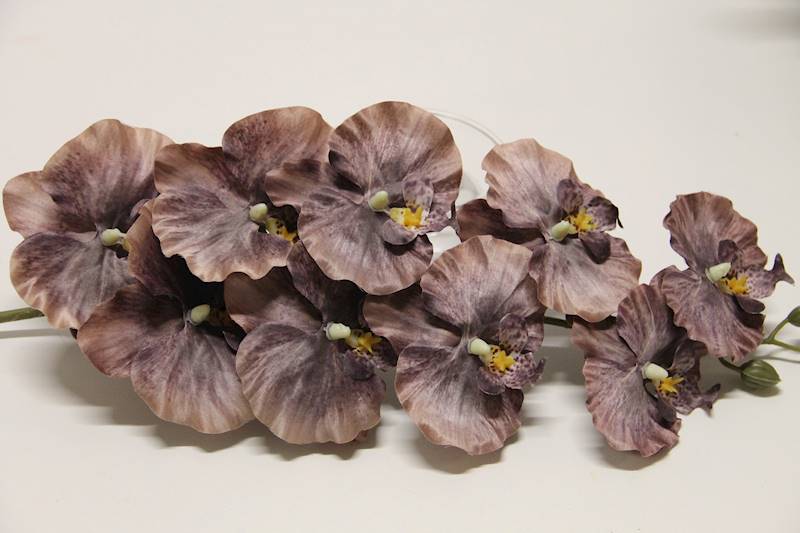 STORCZYK GAŁĄZKA 9 KWIATÓW DŁ. 95 CM • ': LT.BROWN/BROWN