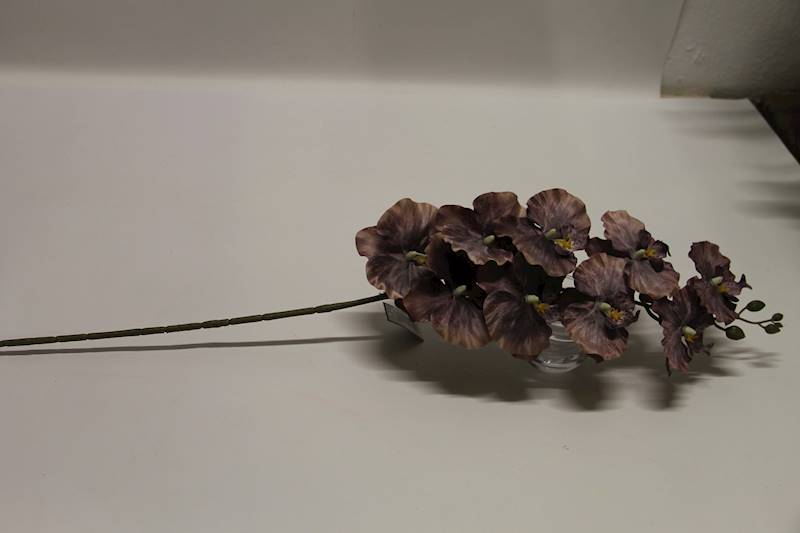 STORCZYK GAŁĄZKA 9 KWIATÓW DŁ. 95 CM • ': LT.BROWN/BROWN