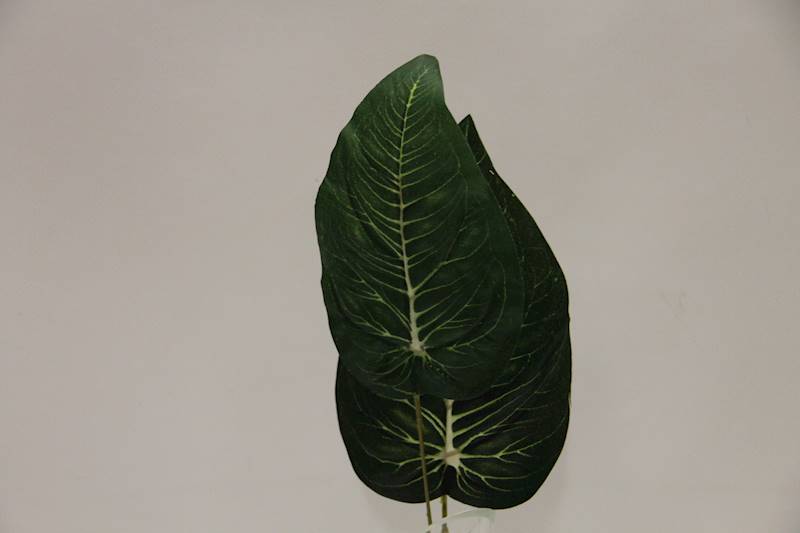 LIŚĆ EVERGREEN X2 46 CM