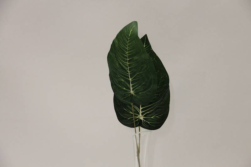 LIŚĆ EVERGREEN X2 46 CM