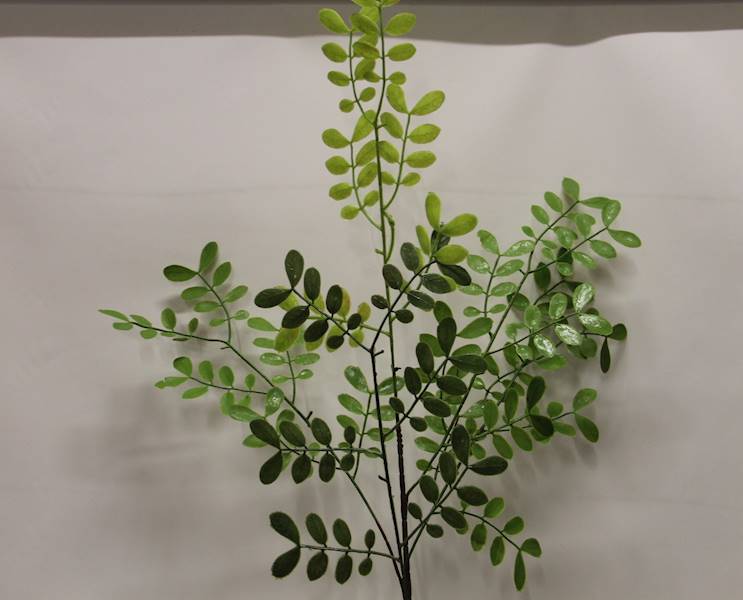 AKACJA GAŁĄZKA LIŚCIASTA 94 CM