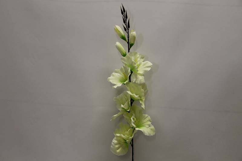 MIECZYK DŁUGI 77 CM CREAM/GREEN