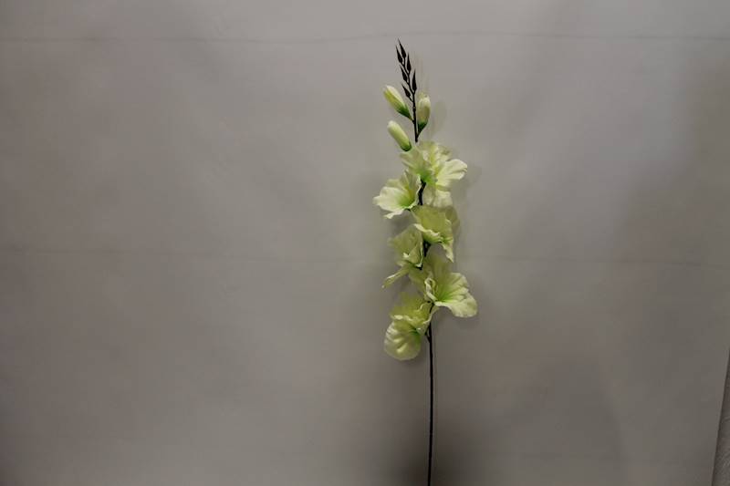 MIECZYK DŁUGI 77 CM CREAM/GREEN