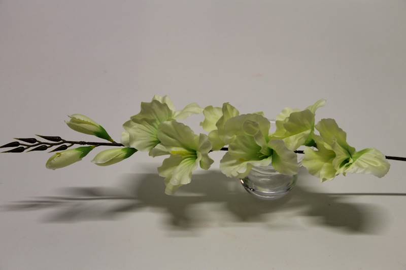 MIECZYK DŁUGI 77 CM CREAM/GREEN